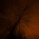 Illustration for article titled Zoom Photo Challenge Gallery 2